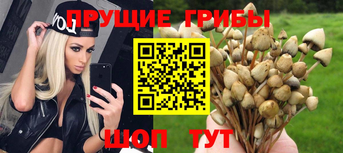 Галлюциногенные грибы мухоморы  Вход с VPN  Псилоцибиновые грибы мухоморы  Семёнов 